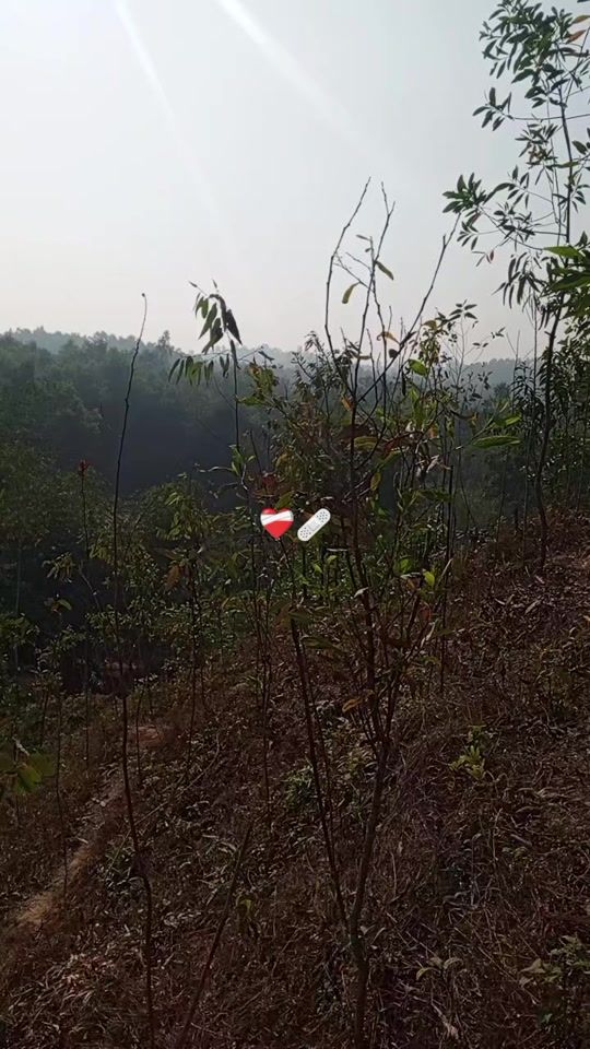 TikTok video thumbnail by rs7494