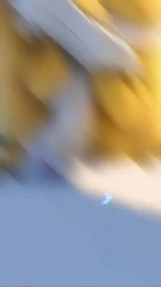 TikTok video thumbnail by suthathevi.sutha