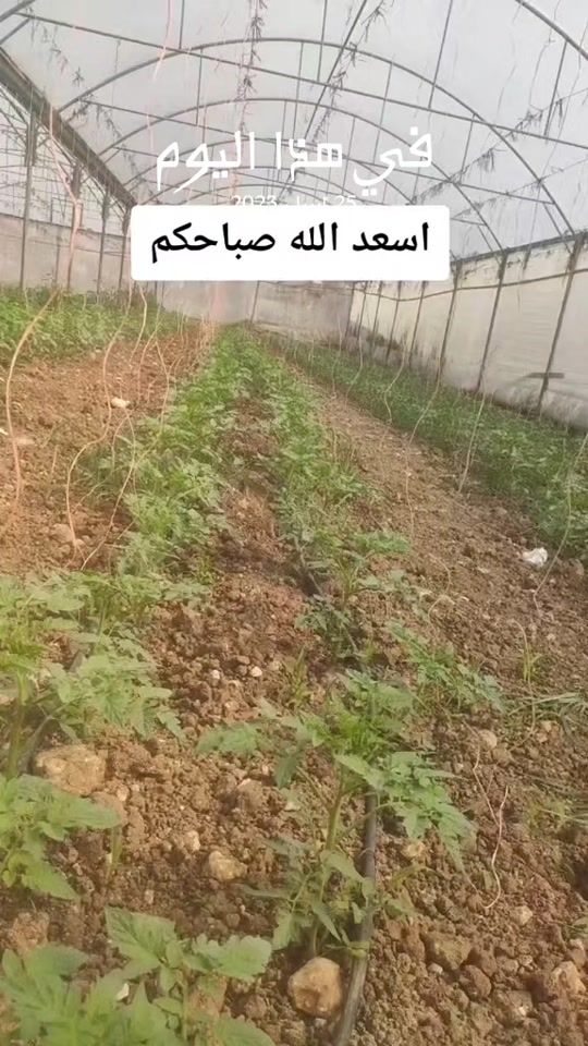 TikTok video thumbnail by eyad_khalaf.0