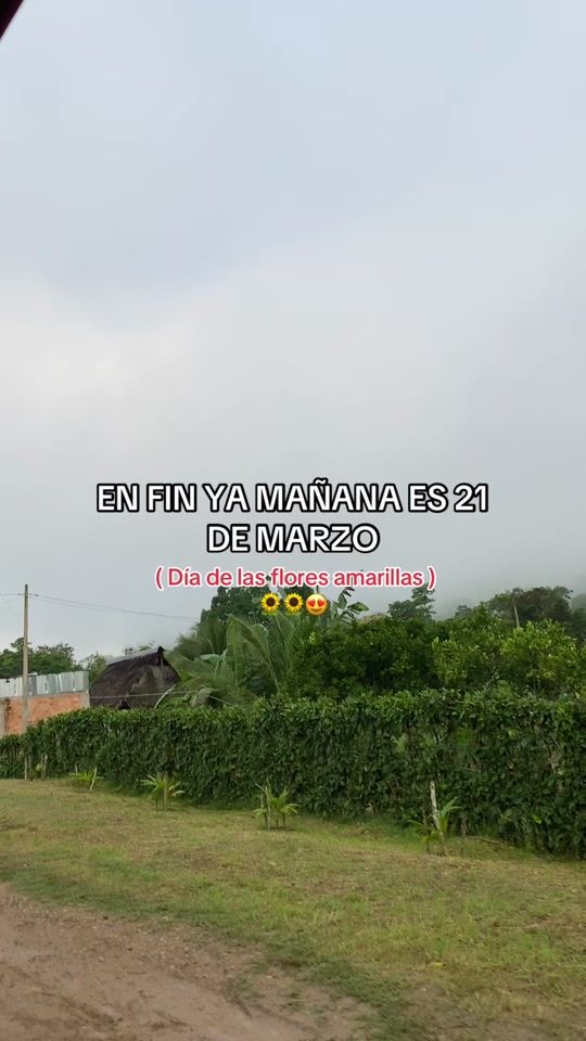 TikTok video thumbnail by rusbercachi01