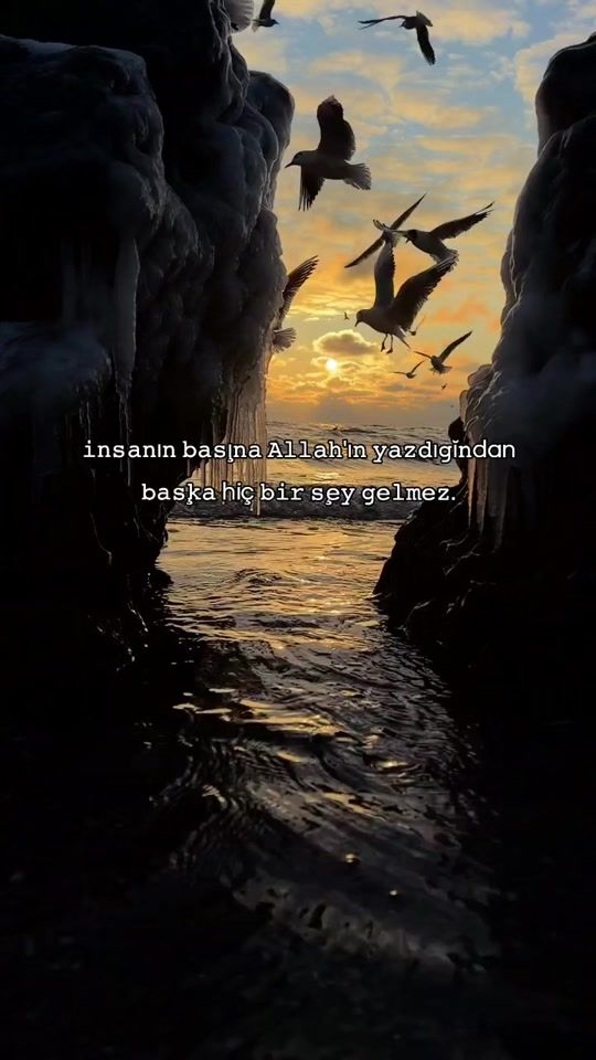 TikTok video thumbnail by ncr_oguzhan