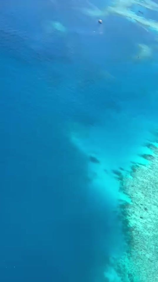 TikTok video thumbnail by ali.manik_