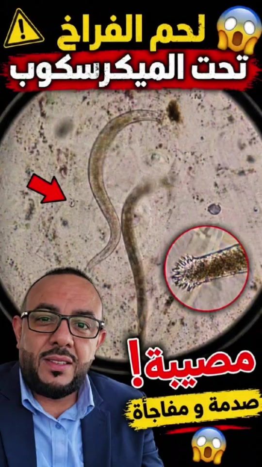 TikTok video thumbnail by sayed.abouzeid66