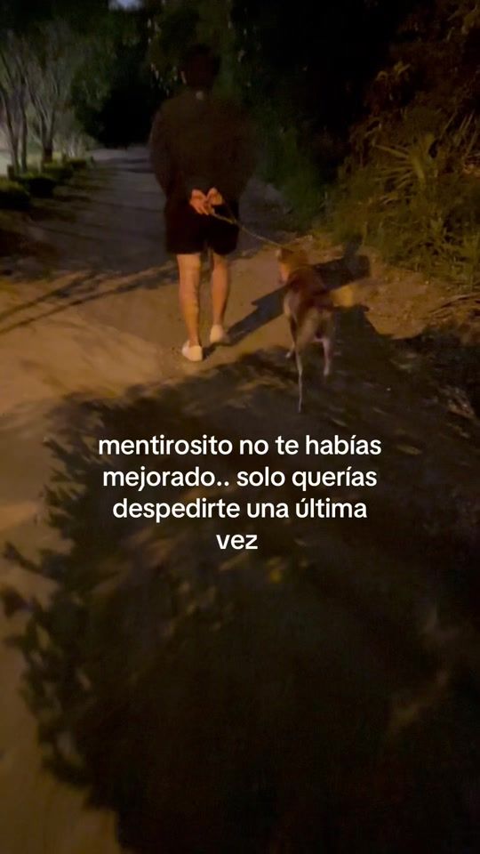 TikTok video thumbnail by ariel_ot