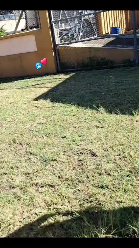 TikTok video thumbnail by zoli.gason