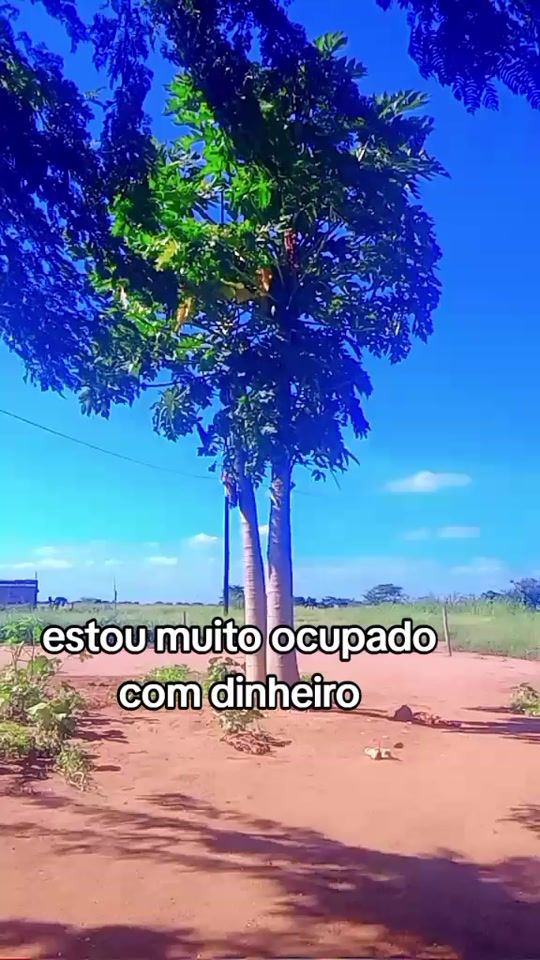 TikTok video thumbnail by armando.machavane4