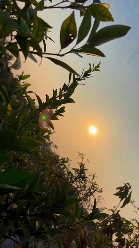 TikTok video thumbnail by prithiofficial