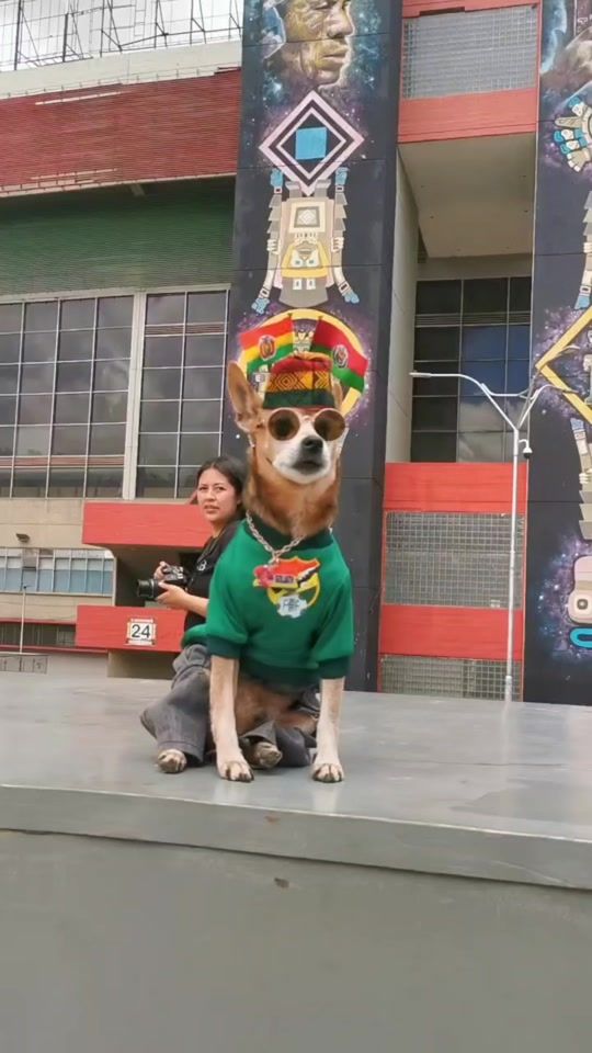 TikTok video thumbnail by goliath.ohana