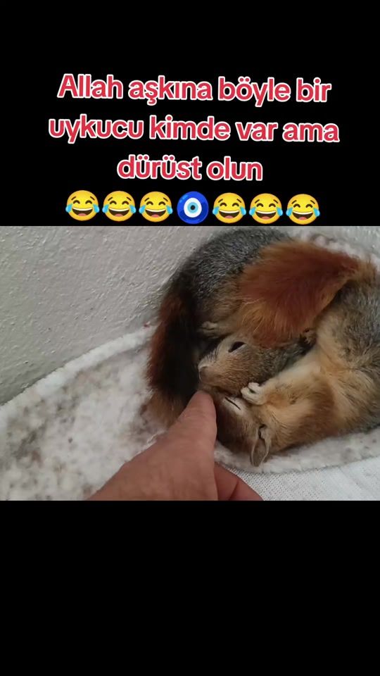 TikTok video thumbnail by abdullah.yagan.730