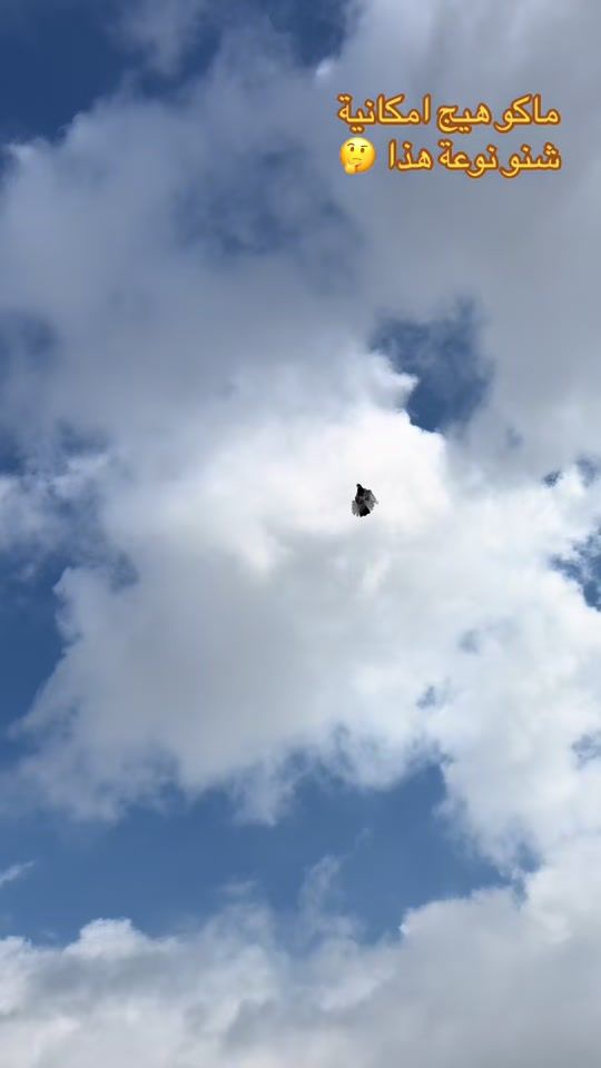 TikTok video thumbnail by tar__alasel