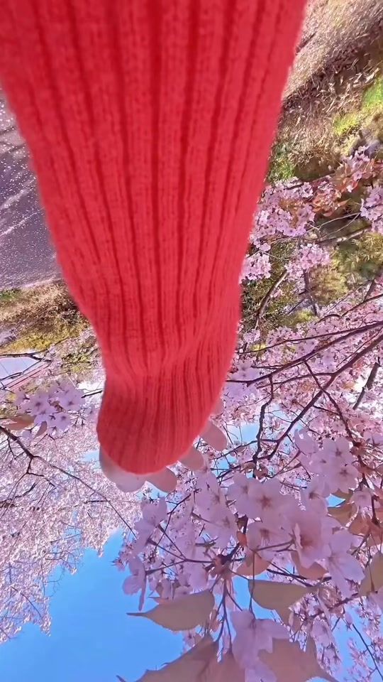 TikTok video thumbnail by sekkyo_neki