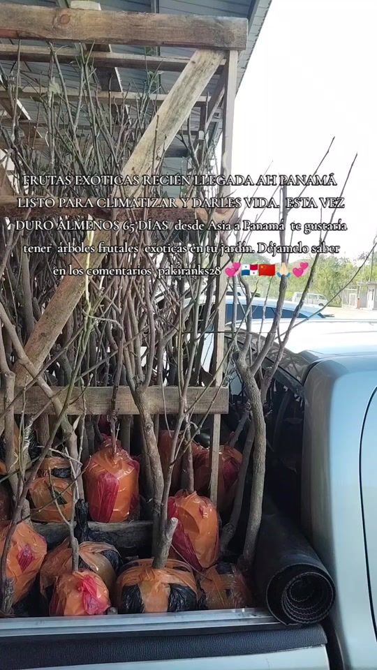 TikTok video thumbnail by pakiranks28