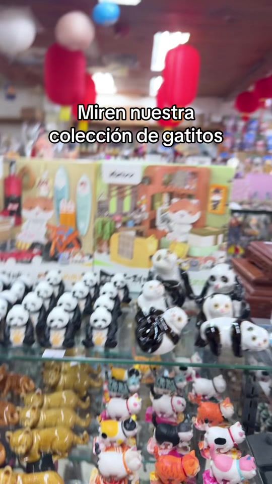 TikTok video thumbnail by potesbonsai_pty