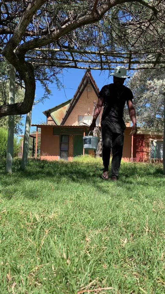 TikTok video thumbnail by that_guy_natangwe