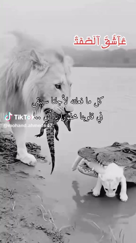TikTok video thumbnail by dyide2mnb9r6
