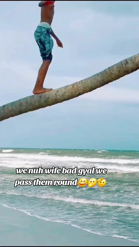 TikTok video thumbnail by skyshonbrown