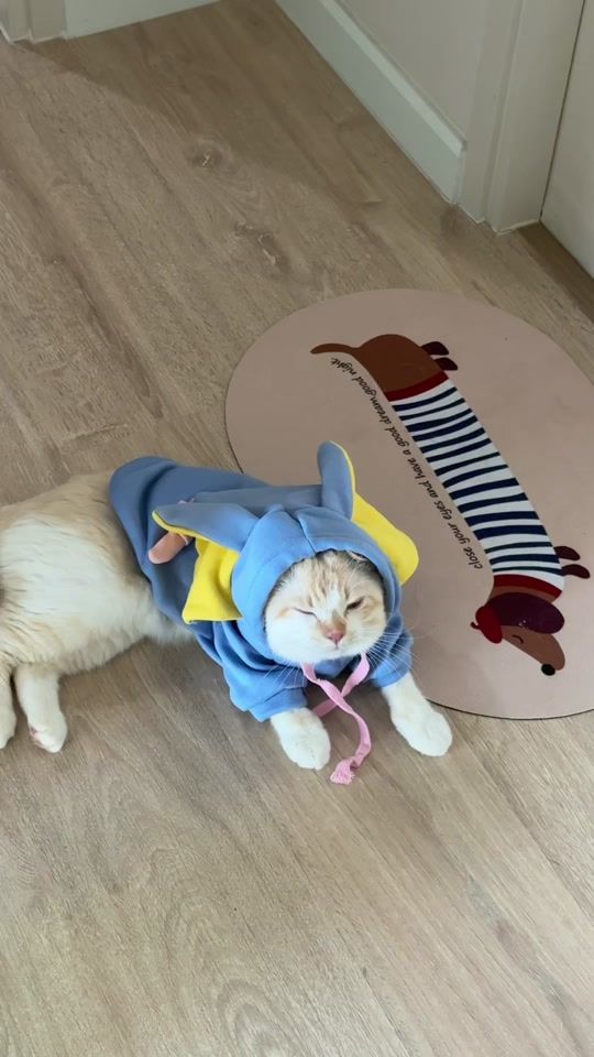 TikTok video thumbnail by thatdarin