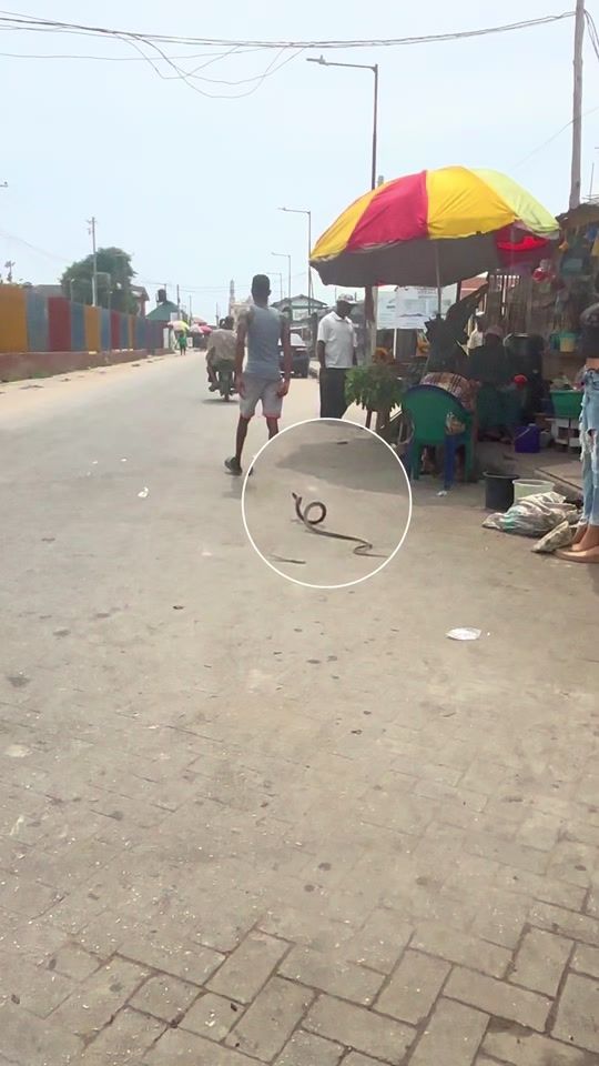 TikTok video thumbnail by mr.olawits_