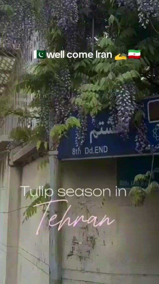 TikTok video thumbnail by 77jsjs2