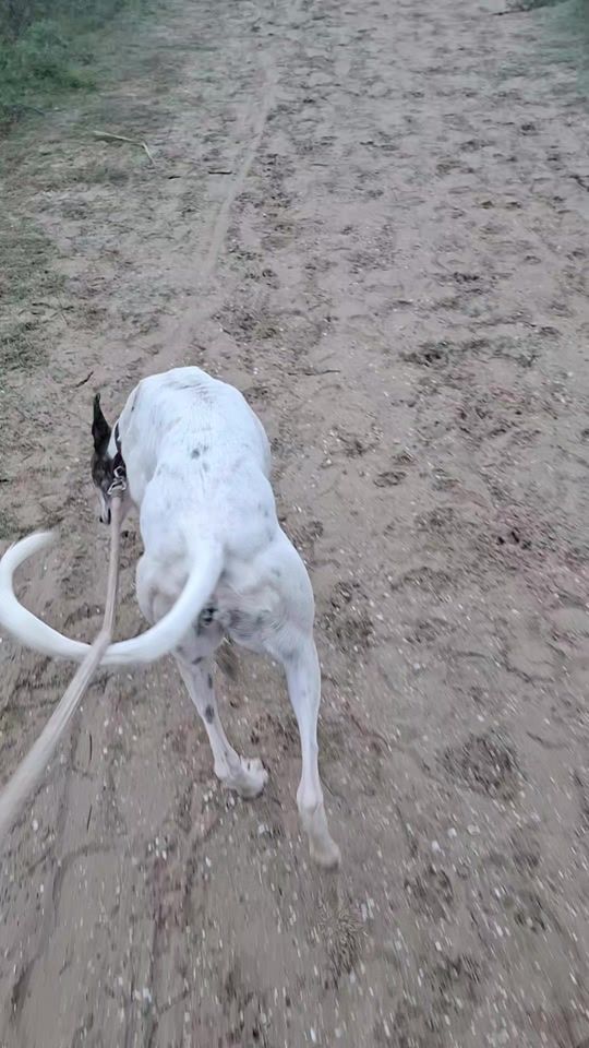 TikTok video thumbnail by tatopulus