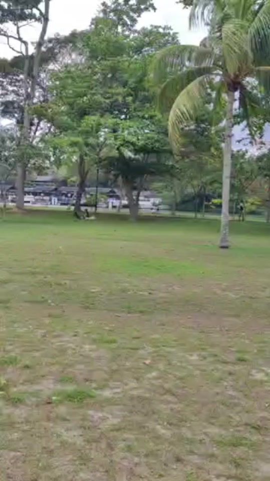 TikTok video thumbnail by ehhtoo6662