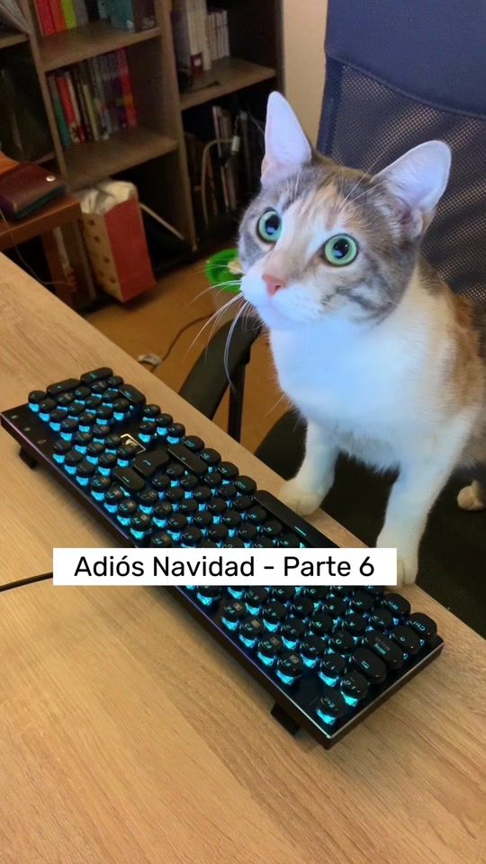 TikTok video thumbnail by sakurakittens