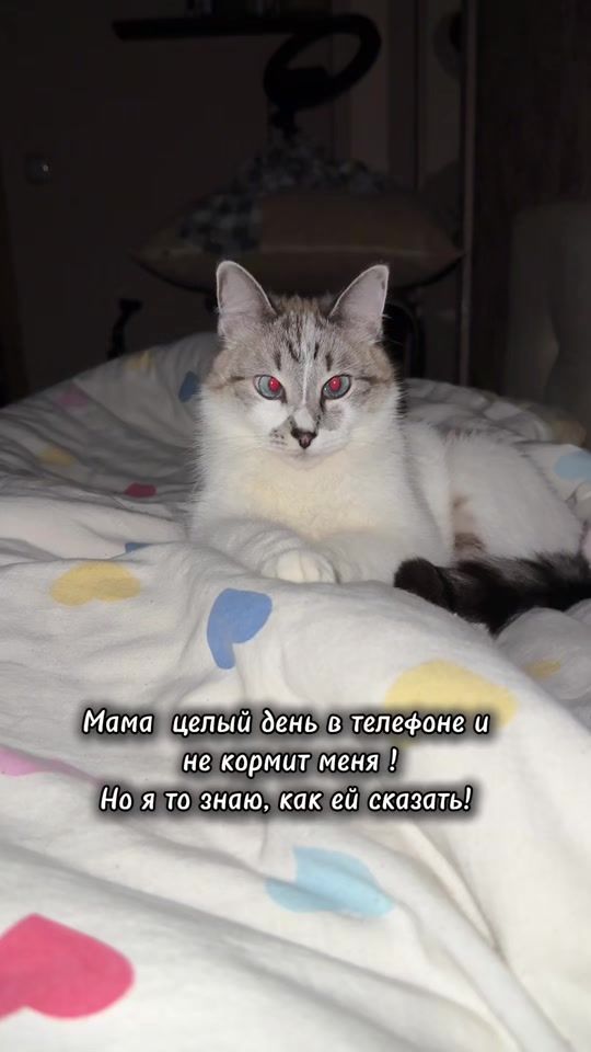 TikTok video thumbnail by mila_semashko_