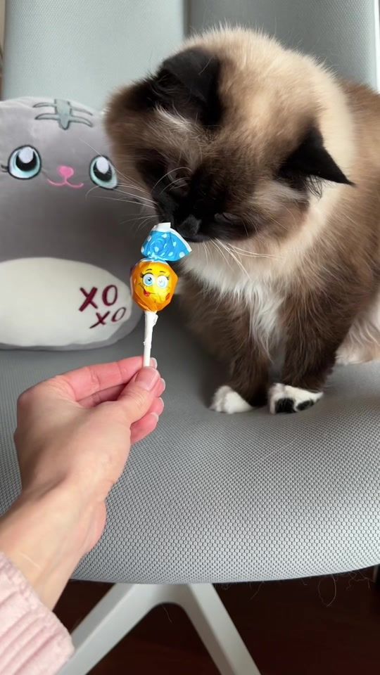 TikTok video thumbnail by _misskisya_