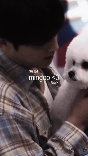 TikTok video thumbnail by llovcheolie
