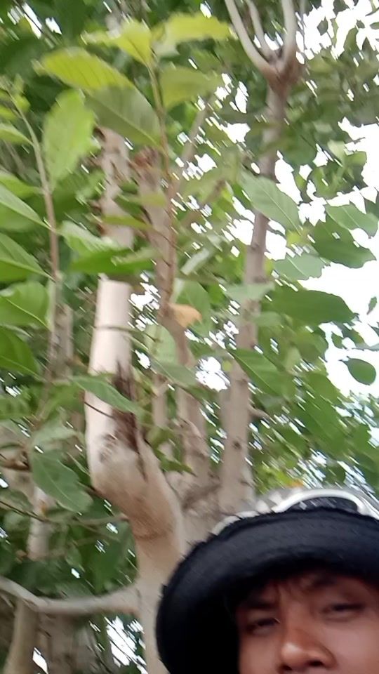 TikTok video thumbnail by pumay85