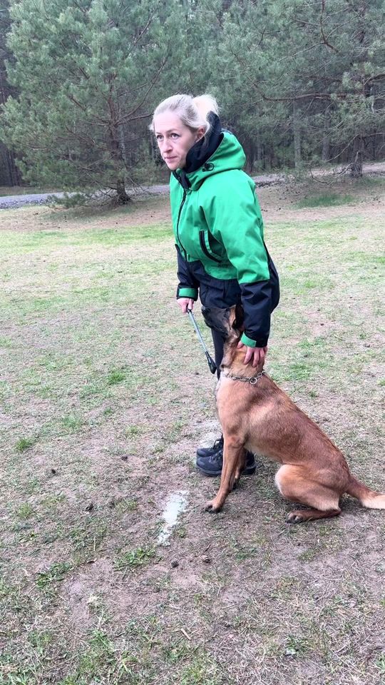 TikTok video thumbnail by yara.malinois