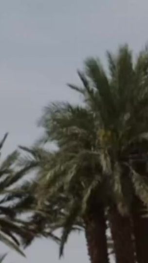 TikTok video thumbnail by haji.roman