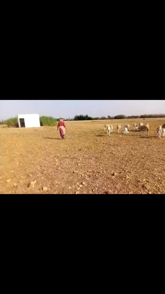 TikTok video thumbnail by kaltoumbah