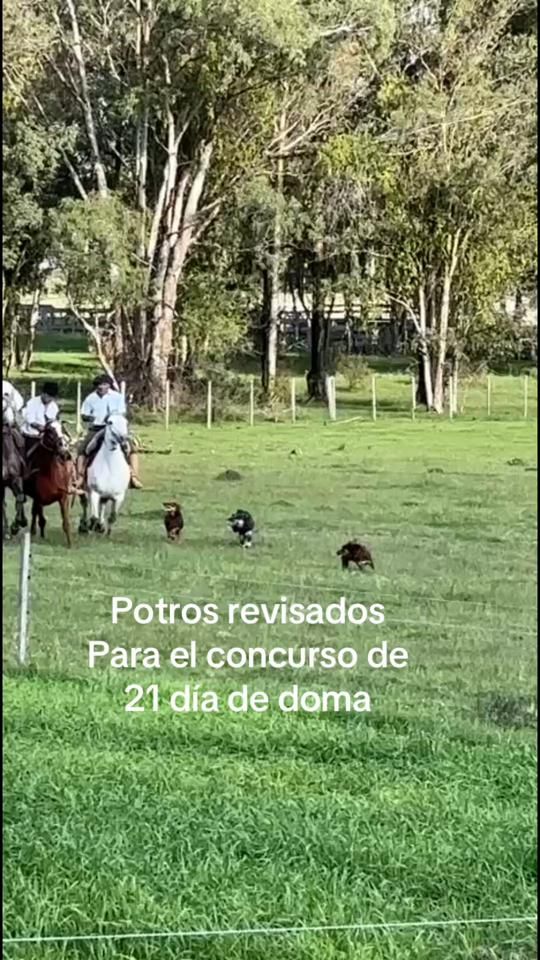 TikTok video thumbnail by alvarosemper