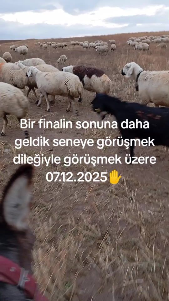 TikTok video thumbnail by hakanreyis06