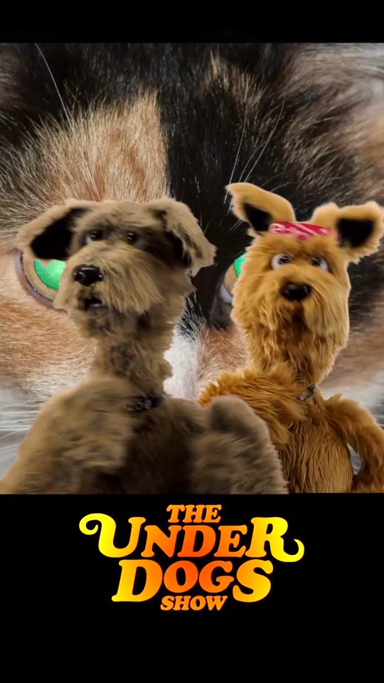 TikTok video thumbnail by theunderdogsshow