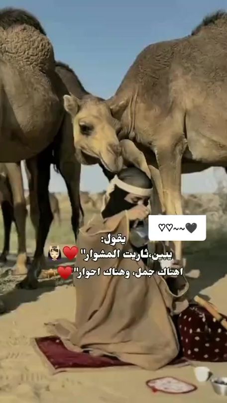 TikTok video thumbnail by my.way461
