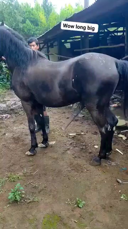 TikTok video thumbnail by user5_916