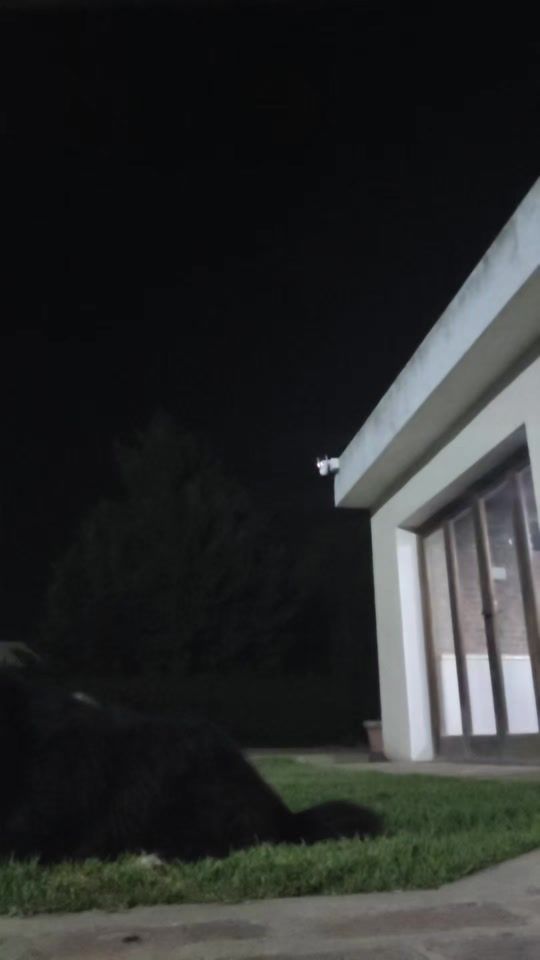 TikTok video thumbnail by yamilferreira8