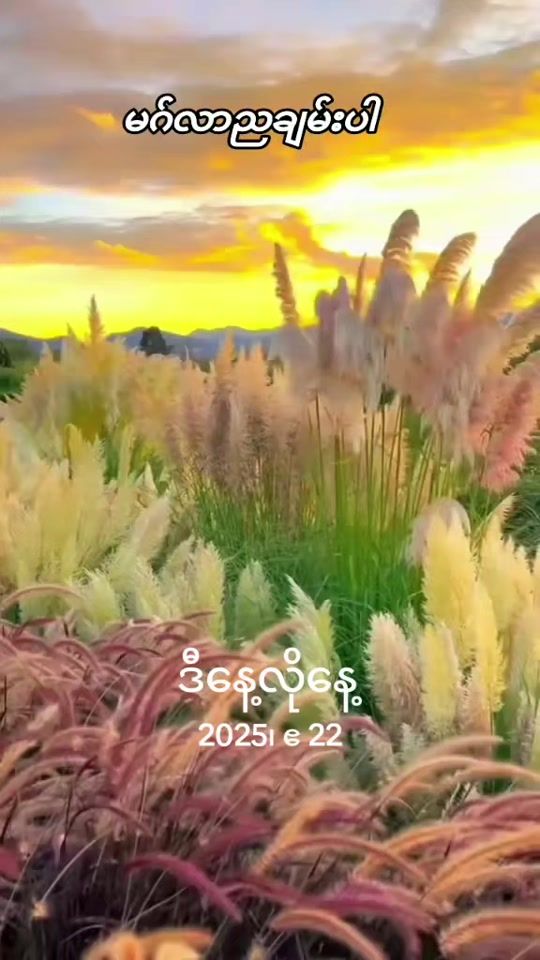 TikTok video thumbnail by sunaing.myanmar