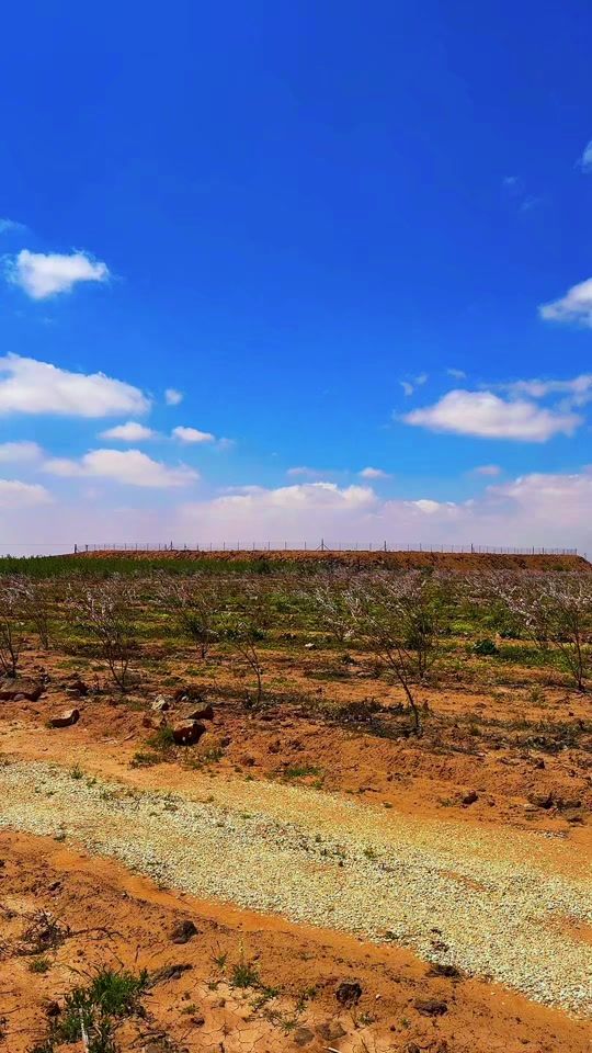 TikTok video thumbnail by ragheedalshaar