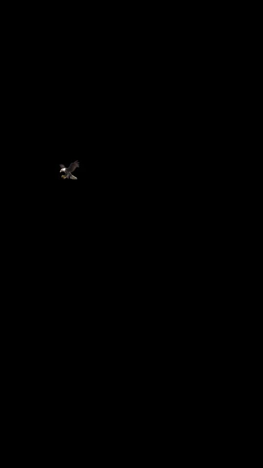 TikTok video thumbnail by user3257094616100