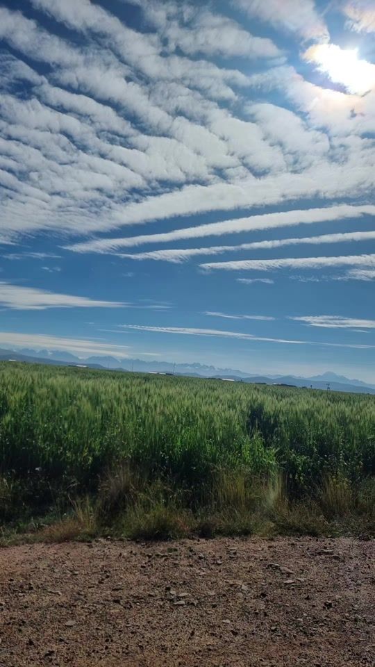 TikTok video thumbnail by limaqe