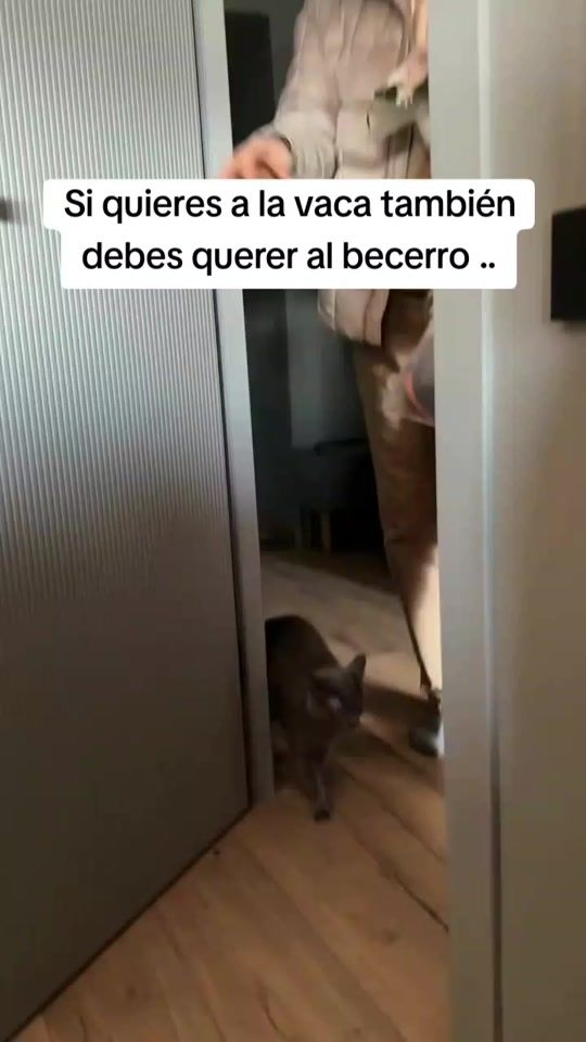 TikTok video thumbnail by lylyanht