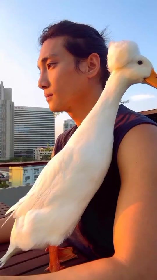 TikTok video thumbnail by 694sukanda