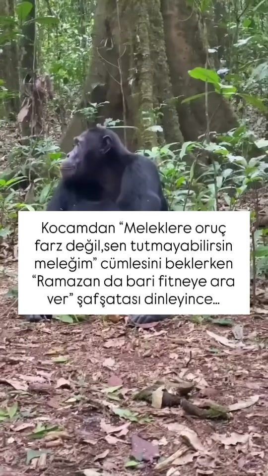 TikTok video thumbnail by kult48