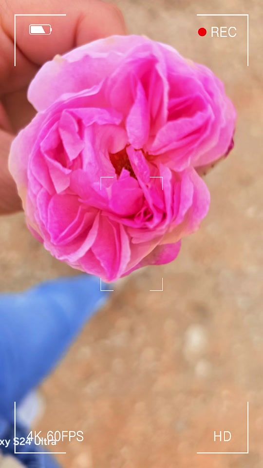 TikTok video thumbnail by photo_by_ren
