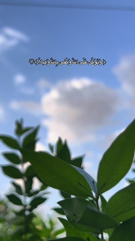 TikTok video thumbnail by ha_2.93