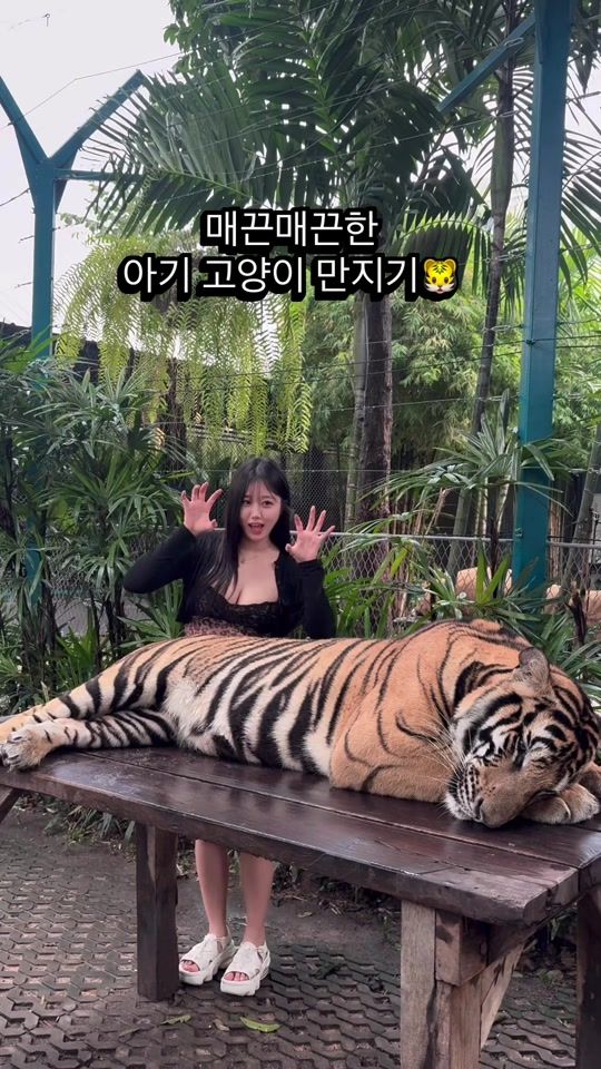 TikTok video thumbnail by shavit_khan