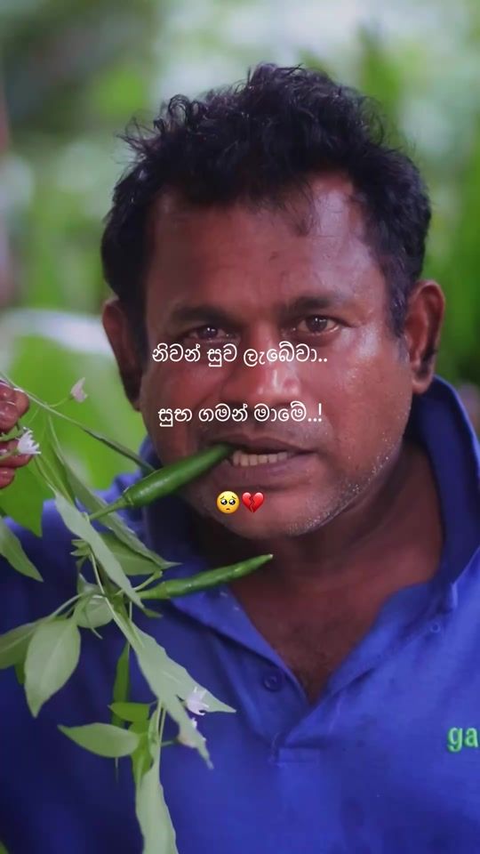 TikTok video thumbnail by chamiru_dulmitha